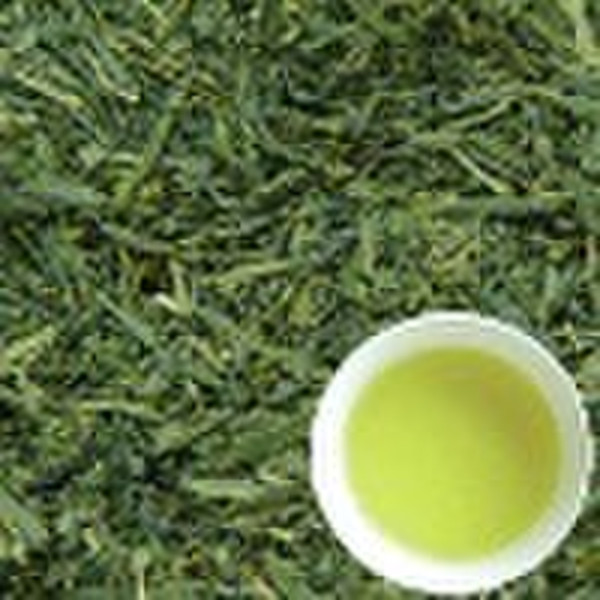 Organic Sencha Tea (IMO certificated )