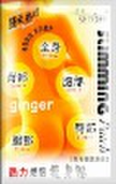 AUFRECHNUNG Ginger Fitness-Patch