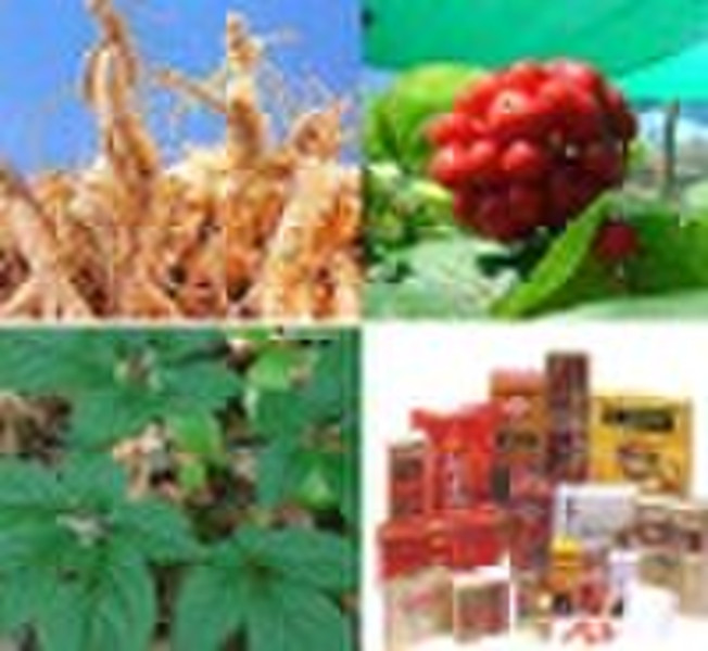 Ginseng Extract Powder