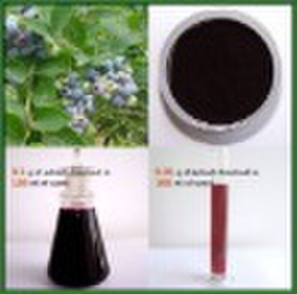 Bilberry Extract Powder