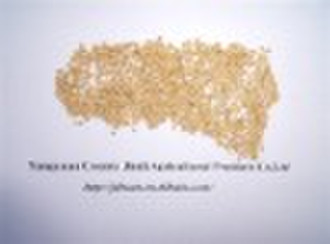 ALIBABA使用专门的黄色小米在皮(GF