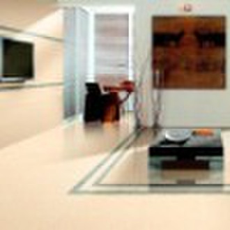 polished procelain floor or wall tiles