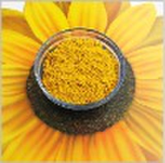 Ceramic Pigment  Pr-Yellow GA-2052