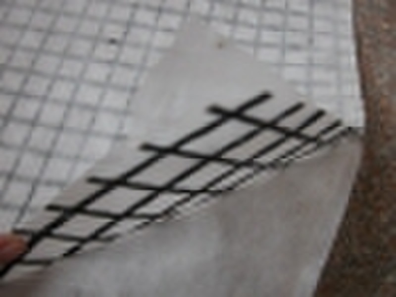 Composite Geogrid