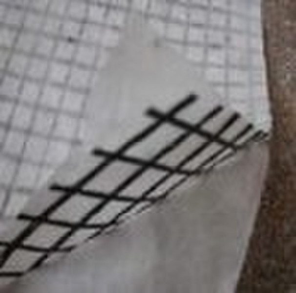 fiberglass geogrid