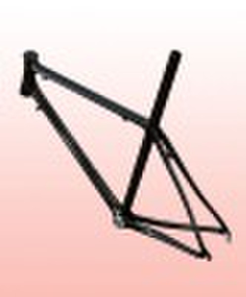 Carbon Bicycle Frame