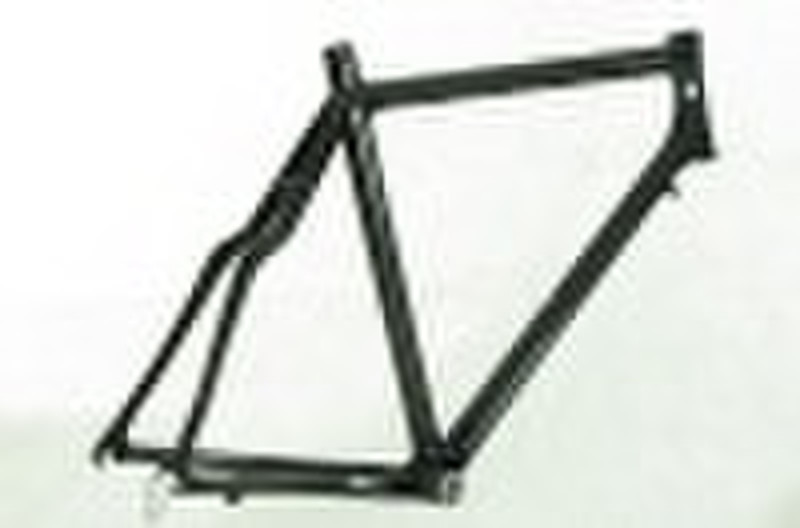 Carbon bicycle frame
