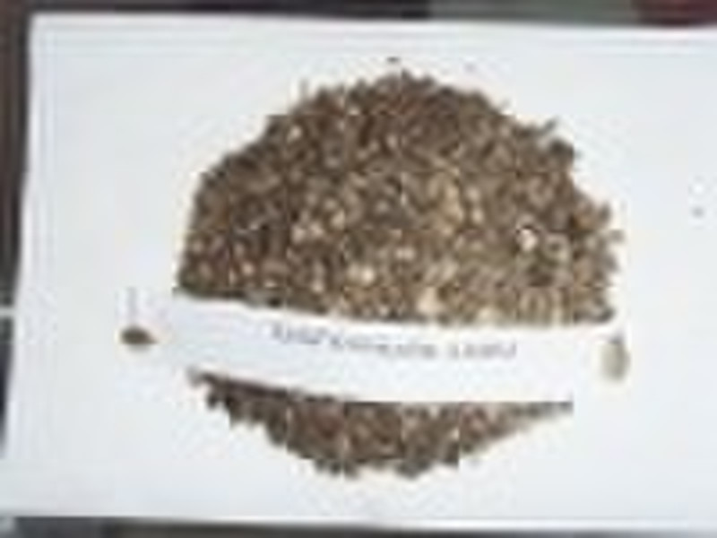 raw vermiculite