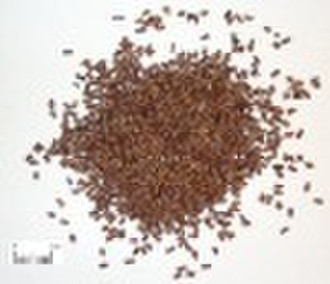 cassia seed