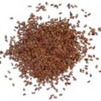 cassia seed