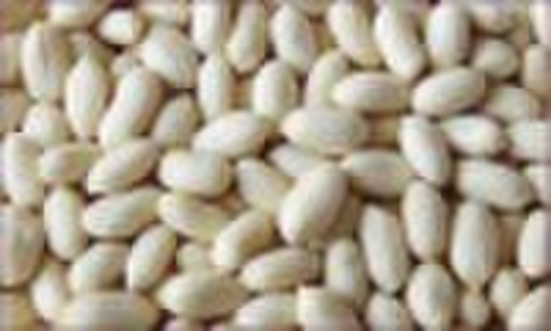 Blanched Peanut Kernels