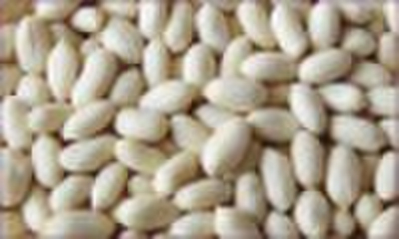 Blanched peanut kernel