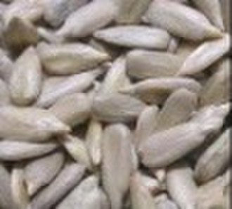 sunflower seed kernel