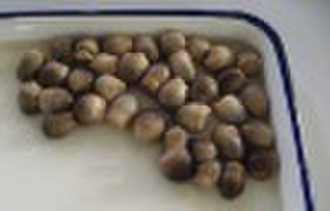 Canned Straw Mushrooms