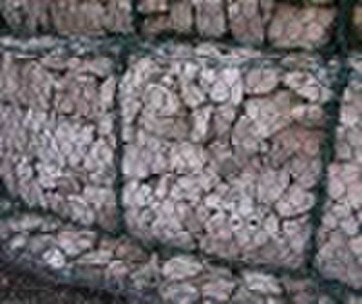 Gabion mesh