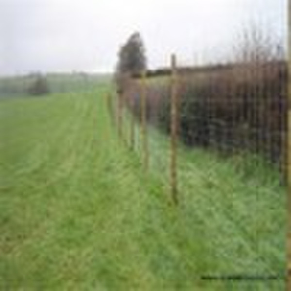 Grassland Fence