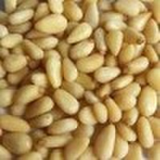 Best  Quality Pine Nut