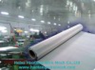 Stainless Steel Wire Netting