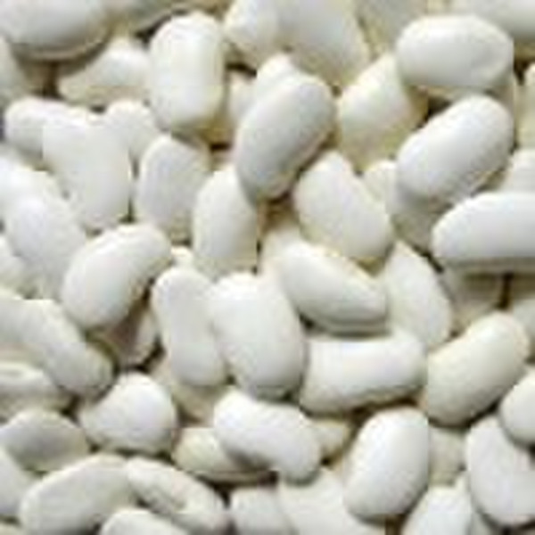 Large White Kidney Beans