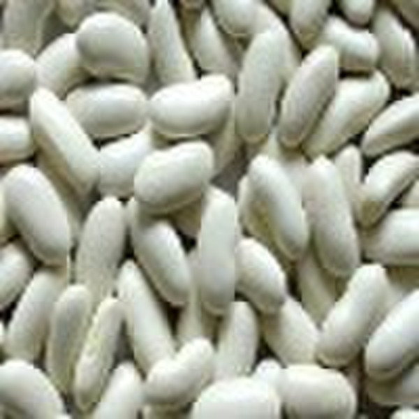 Long Shape White Kidney Beans