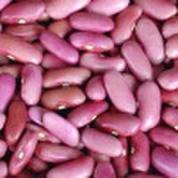 Light Red Kidney Beans