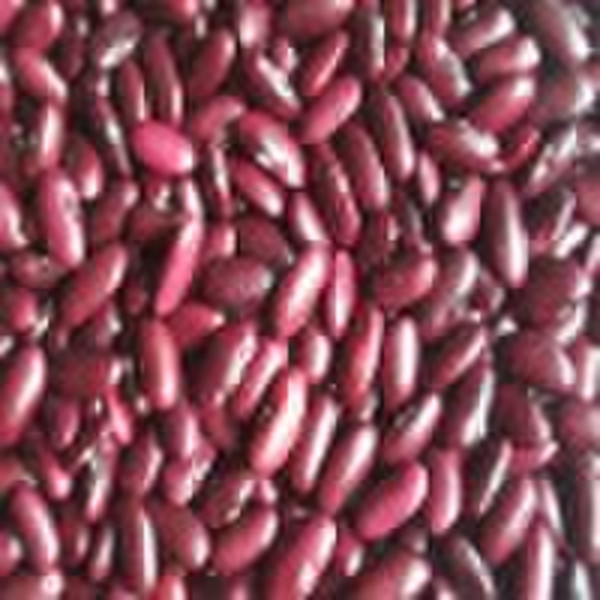 Red Kidney Beans