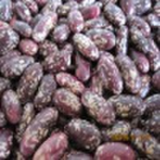 purple kidney beans