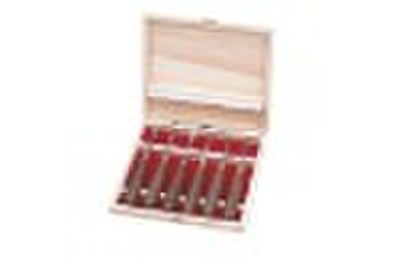 carving chisel/sculptor's chisel 6pcs set