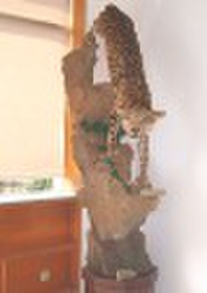 Animal specimen--Leopard lifesize