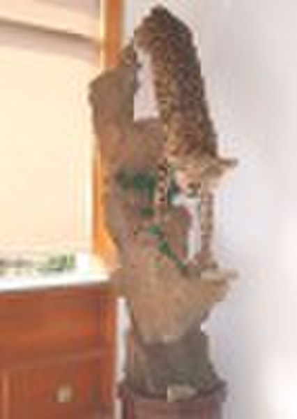 Animal specimen--Leopard lifesize