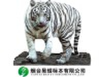 Animal specimen--white tiger lifesize