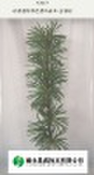 Plant specimen-- Pseudolarix specimen