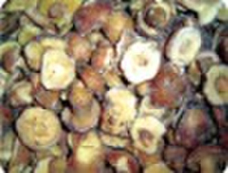 IQF suillus--mushroom