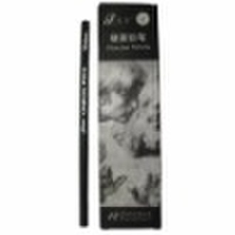 Kohlestift / charcoalpencil Künstlers