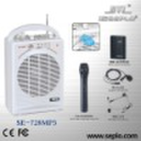 Professional teaching wireless amplifier