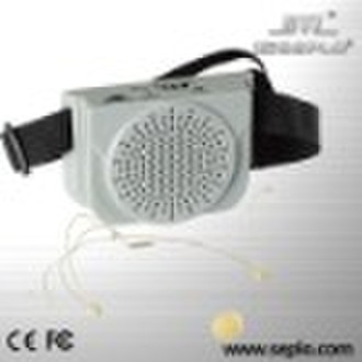 Professional teaching wireless amplifier