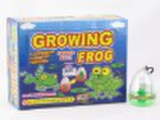 EXPAND FROG toy