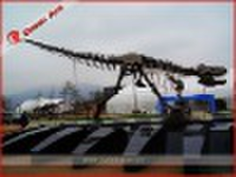 Museum  dinosaur skeleton