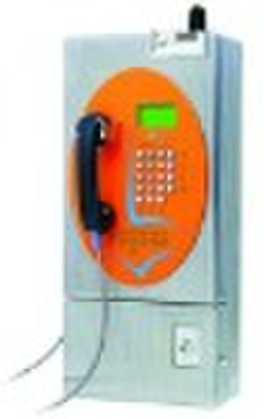 W991: CDMA Außen Münz-Payphone