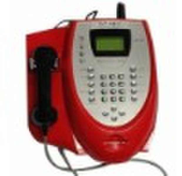 W993: CDMA Outdoor Card Payphone
