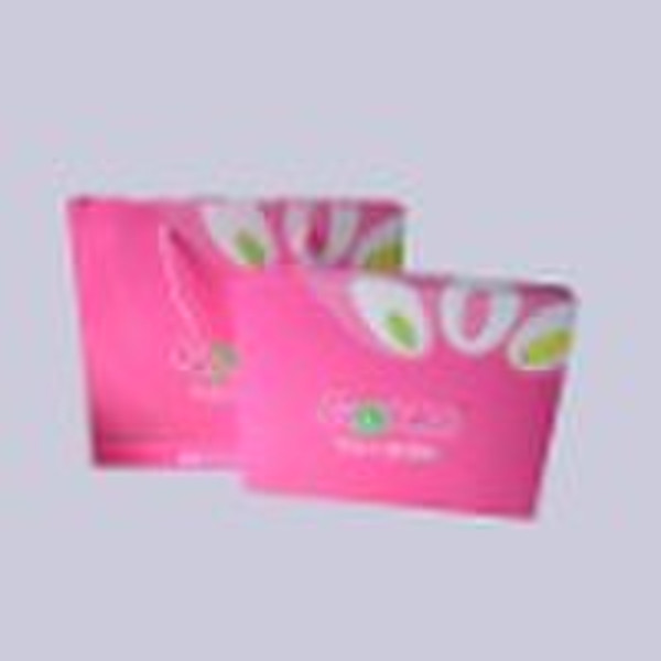 paper bag and box(for promotion)