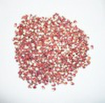 cowpea