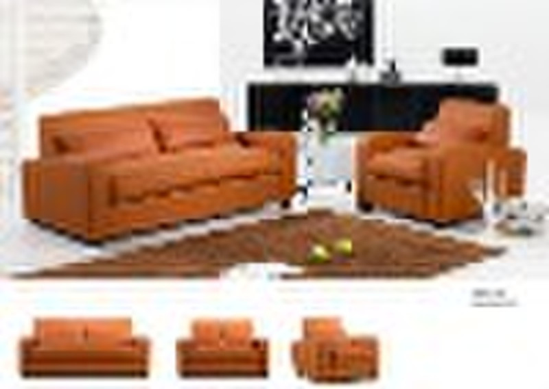 Leather Modern Sofa A005-6#