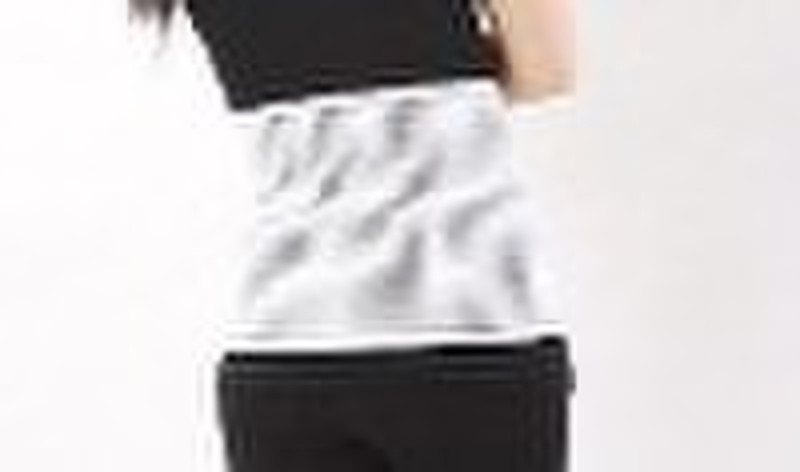 Functional Lumbar Support with magnetic core insid