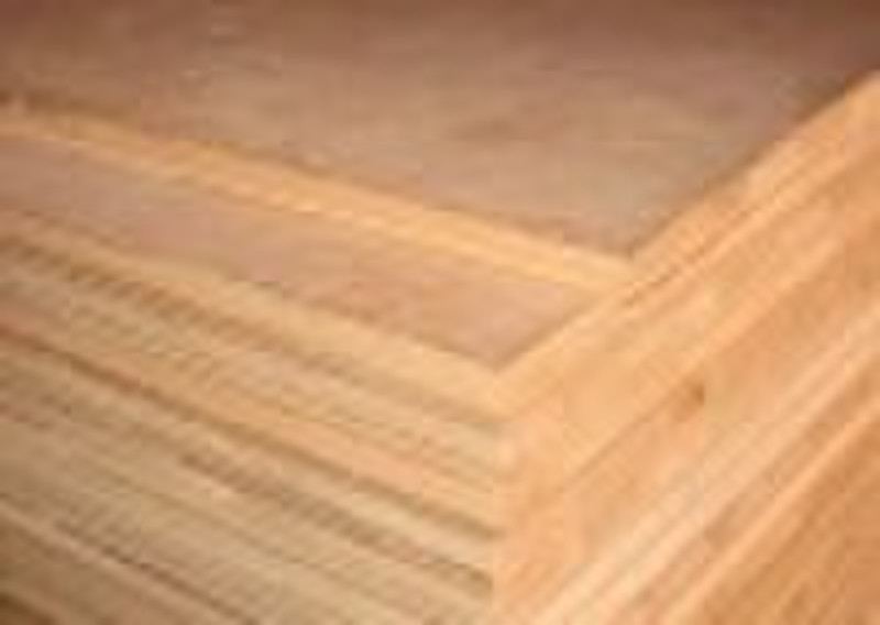 poplar plywood