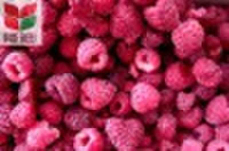IQF Raspberry (ISO22000,HACCP,Harvested in 2010)