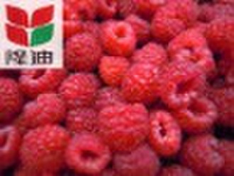IQF raspberry(Boyne red, harvested in 2010)