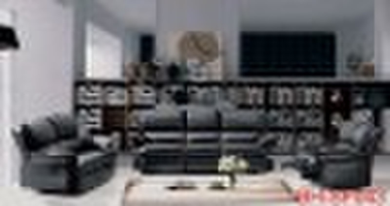 function leather sofa
