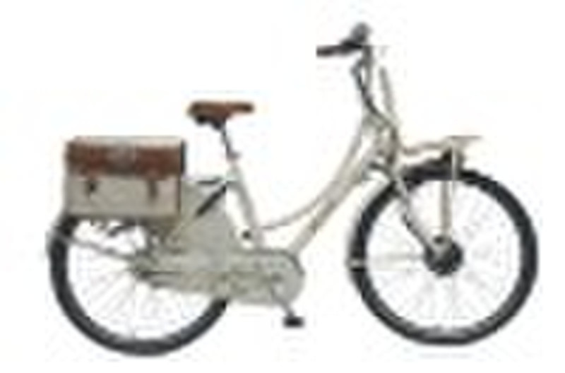 electric bike/electric vehicle/electric bicycles/D