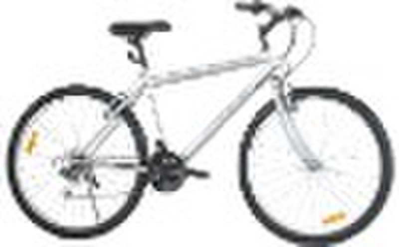 Mountainbike / MTB / Standard MTB Fahrrad